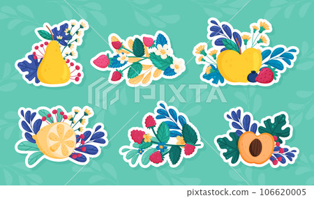 Fruit and Leaves with Twigs as Sweet Plant Vector Sticker Set Fruit and Leaves with Twigs as Sweet Plant Vector Sticker Set 106620005