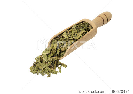Dried leaves o Lemon verbena in latin Aloysia citrodora in wooden scoop isolated on white background. Medicinal herb. 106620455