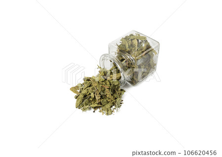 Dried leaves o Lemon verbena in latin Aloysia citrodora falling out of a glass jar isolated on white background. Medicinal herb. Dried leaves o Lemon verbena in latin Aloysia citrodora falling out of a glass jar isolated on white background. Medicinal herb. 106620456