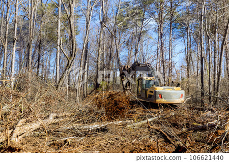With help of an excavator worker uproots trees in forest, preparing ground for building house 106621440