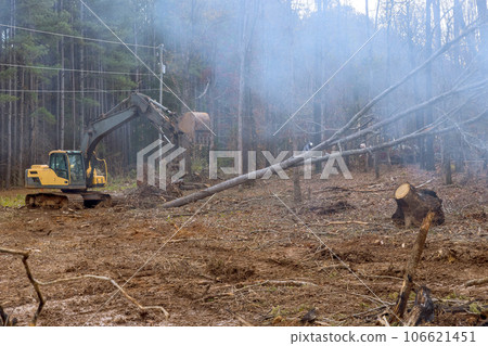 With assistance of an excavator worker is creating space for house by removing trees in forest. With assistance of an excavator worker is creating space for house by removing trees in forest. 106621451
