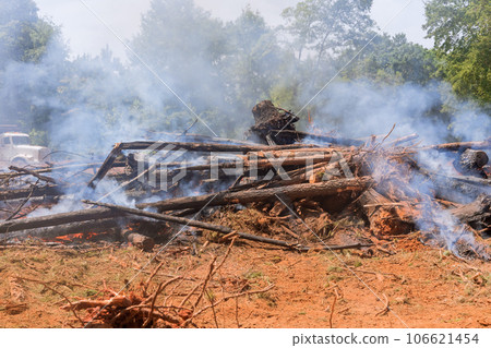 Burning uprooted trees to prepare land for construction 106621454