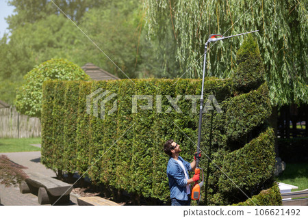 Smiling male gardener in gloves shaping thuja with electric hedge trimmer at sunny day outside. Above view of skillful handyman cutting top of tree by using rod bush cutter. Concept of gardening.  106621492