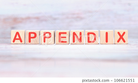 Appendix a word made of wooden cubes on a light background Appendix a word made of wooden cubes on a light background 106621551
