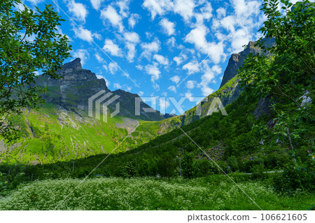 Beautiful classic Norwegian summer landscape in the month of July. mighty mountains meadows, sea 106621605