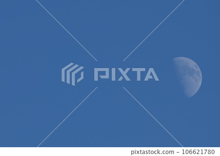 北斗市白州町,八月的月亮,月齡8.7,盈盈的四分之一,漂浮在夜空中 北斗市白州町,八月的月亮,月齡8.7,盈盈的四分之一,漂浮在夜空中 106621780