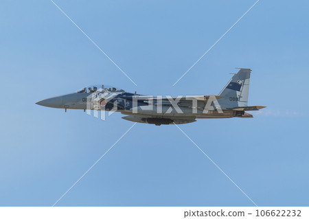 航空自衛隊飛行指導大隊 F-15DJ Eagle 106622232