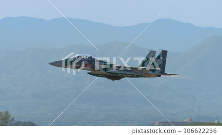 Air Self-Defense Force Flight Instruction Group F-15DJ Eagle 106622236