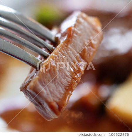 Roast pork stew with tomato Roast pork stew with tomato 106622876