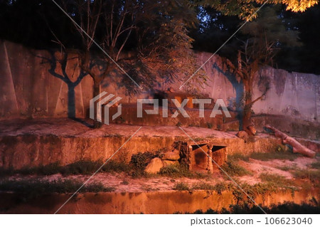 [廣島縣] 廣島市阿佐動物園夜間野生動物園 106623040