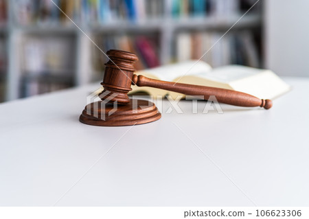 法律形象(概念形象) 法律形象(概念形象) 106623306