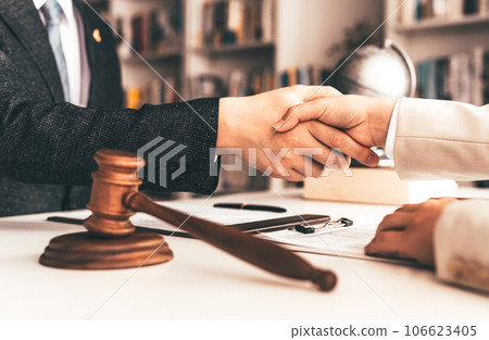 男人和女人握手:商業 男人和女人握手:商業 106623405