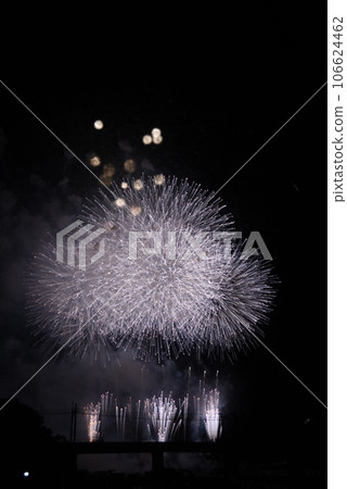 Fireworks lighting up the night sky Okazaki Fireworks Festival Fireworks lighting up the night sky Okazaki Fireworks Festival 106624462
