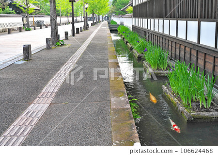 [津和野的街道（殿町街道）] 島根縣嘉子郡津和野町合田 106624468