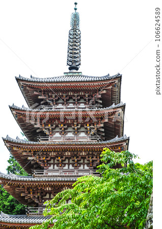 Daigo-ji Temple Daigo-ji Temple 106624589