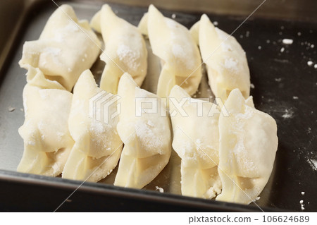 Gyoza before cooking Gyoza before cooking 106624689
