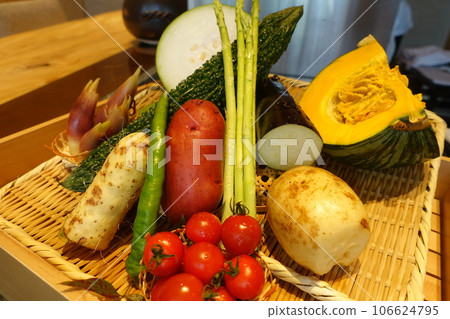Assortment of colorful summer vegetables 106624795
