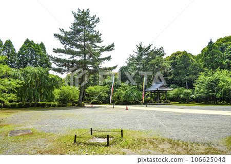 醍醐寺院內(近藤前) 醍醐寺院內(近藤前) 106625048