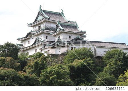 Looking up at Wakayama Castle castle tower 106625131