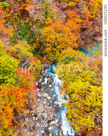Autumn leaves in Hachimantai and Matsukawa Valley (near Mori-no-Ohashi Bridge) 106625295