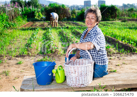 Cheerful aged woman ready to work in home garden 106625470