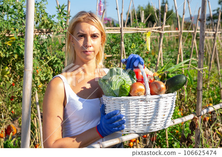 Young woman engaged in cultivation of organic vegetables in her small garden showing good harvest 106625474