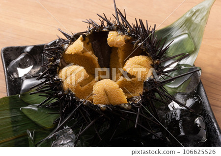 [Sanriku/Miyagi Prefecture] Gaze sea urchin 106625526