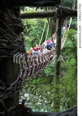 祖谷葛橋 遊客穿過搖曳的吊橋 祖谷葛橋 遊客穿過搖曳的吊橋 106625768
