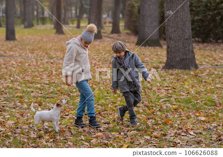 Caucasian children are walking with jack russell terrier in autumn park. Boy, girl and dog are jumping outdoors. 106626088
