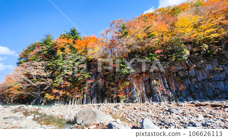 八幡平、松川溪谷(松川玄武岩)的紅葉 八幡平、松川溪谷(松川玄武岩)的紅葉 106626113