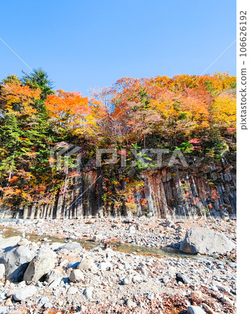 Autumn leaves in Hachimantai/Matsukawa Valley (Matsukawa basalt) Autumn leaves in Hachimantai/Matsukawa Valley (Matsukawa basalt) 106626192