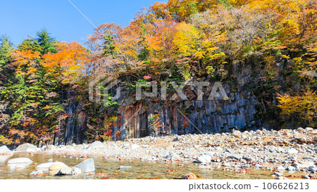 Autumn leaves in Hachimantai/Matsukawa Valley (Matsukawa basalt) Autumn leaves in Hachimantai/Matsukawa Valley (Matsukawa basalt) 106626213