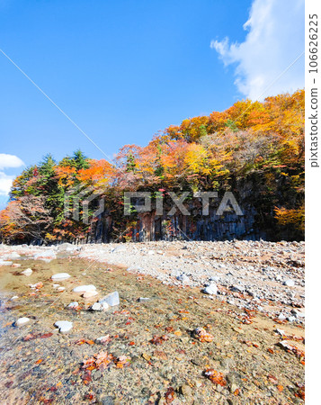 Autumn leaves in Hachimantai/Matsukawa Valley (Matsukawa basalt) Autumn leaves in Hachimantai/Matsukawa Valley (Matsukawa basalt) 106626225