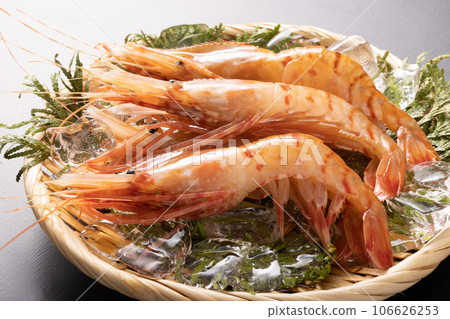 [Fukushima Prefecture] White Peony Shrimp 106626253