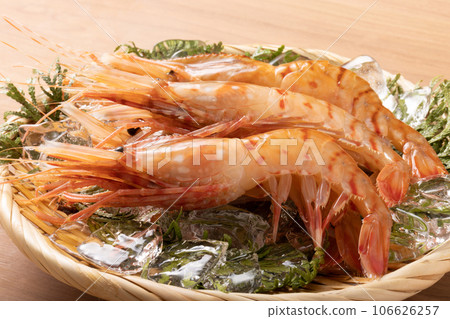 [Fukushima Prefecture] White Peony Shrimp 106626257