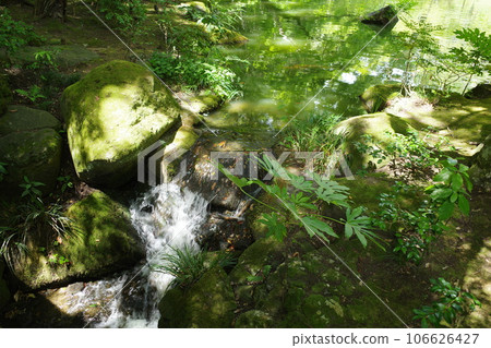 成田山公園內的池塘景觀 成田山公園內的池塘景觀 106626427