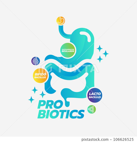 Probiotic Foods Good Bacteria Vector illustration.  106626525