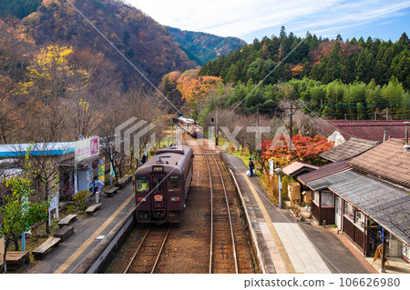 Kobe Station in autumn leaves 2 Kobe Station in autumn leaves 2 106626980