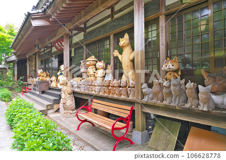 [Unrinji Temple (Cat Temple)] Yoshibekami, Hagi City, Yamaguchi Prefecture 106628778