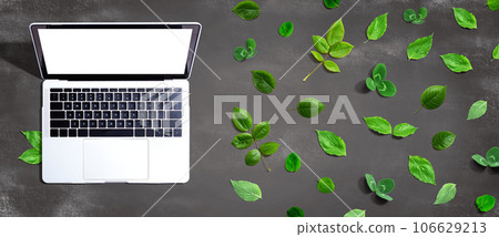 Laptop computer with green leaves 106629213