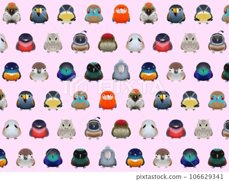 Fluffy bird C background ① pink Fluffy bird C background ① pink 106629341