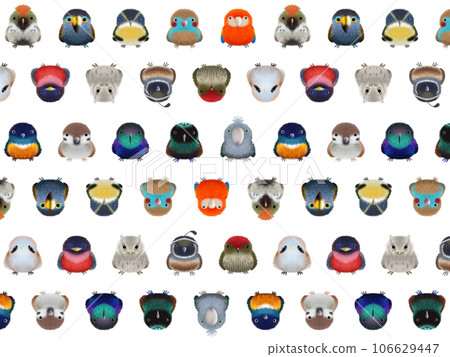 Fluffy bird C background ② PNG Fluffy bird C background ② PNG 106629447