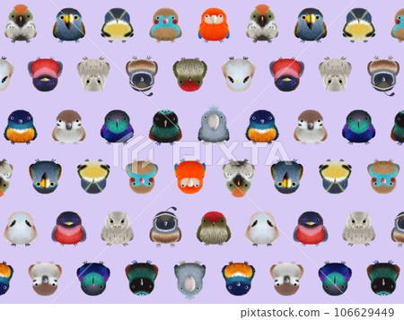 Fluffy bird C background ② purple Fluffy bird C background ② purple 106629449
