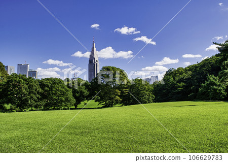 Green space around Meiji Shrine Kitaike 106629783