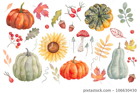 Collection of autumn elements. Pumpkins,maple leaves,sunflower,mushrooms,acorn,oak leaf,rose hip,rowan. Clipart for seasonal holidays design. Thanksgiving,Halloween.Handmade isolated. 106630430