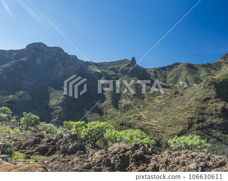 Scenic landscape with Roque de Imada rock and village at hiking trail Barranco de Guarimiar Gorge. Green mountain canyon with palm trees and succulent vegetation. La Gomera, Canary Islands, Spain Scenic landscape with Roque de Imada rock and village at hiking trail Barranco de Guarimiar Gorge. Green mountain canyon with palm trees and succulent vegetation. La Gomera, Canary Islands, Spain 106630611