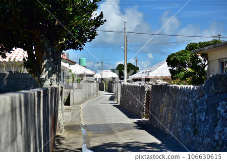 Hamahiga Island townscape 106630615