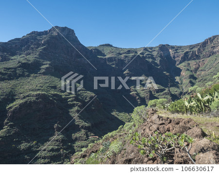Steep narrow danger hiking trail through Barranco de Guarimiar Gorge. Green mountain canyon slopes with palm trees and succulent vegetation. La Gomera, Canary Islands, Spain, Europe. Steep narrow danger hiking trail through Barranco de Guarimiar Gorge. Green mountain canyon slopes with palm trees and succulent vegetation. La Gomera, Canary Islands, Spain, Europe. 106630617