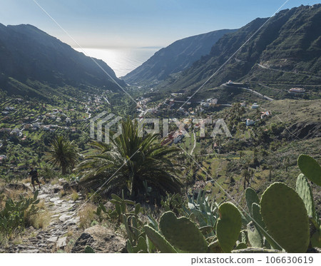 Man hiker on steep old stone road to El Retamal village. Green valley with palm trees, terraced fields and traditional colorful houses. Valle Gran Rey, La Gomera, Canary Islands, Spain, Europe. Man hiker on steep old stone road to El Retamal village. Green valley with palm trees, terraced fields and traditional colorful houses. Valle Gran Rey, La Gomera, Canary Islands, Spain, Europe. 106630619