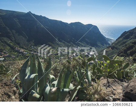view of village El Retamal in green valley with palm trees, with terraced fields and traditional colorful houses. Valle Gran Rey, La Gomera, Canary Islands, Spain, Europe. Blue sky white clouds view of village El Retamal in green valley with palm trees, with terraced fields and traditional colorful houses. Valle Gran Rey, La Gomera, Canary Islands, Spain, Europe. Blue sky white clouds 106630621